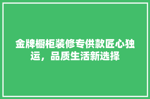 金牌橱柜装修专供款匠心独运，品质生活新选择