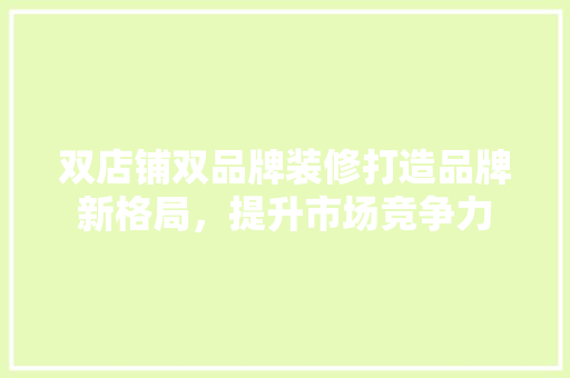 双店铺双品牌装修打造品牌新格局，提升市场竞争力