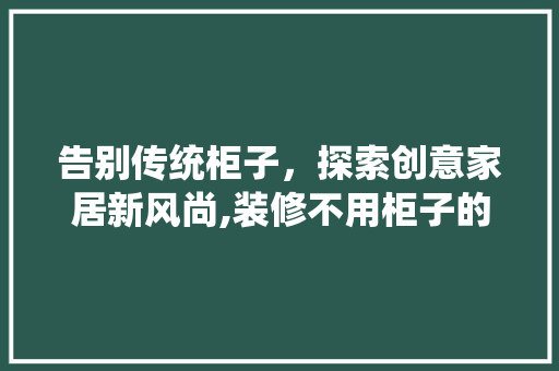 告别传统柜子，探索创意家居新风尚,装修不用柜子的替代品