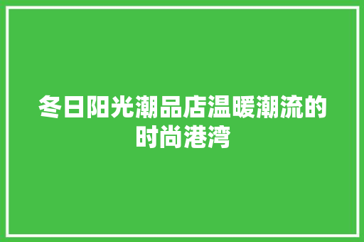 冬日阳光潮品店温暖潮流的时尚港湾
