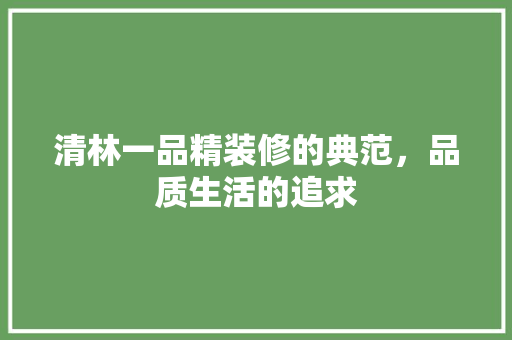清林一品精装修的典范，品质生活的追求