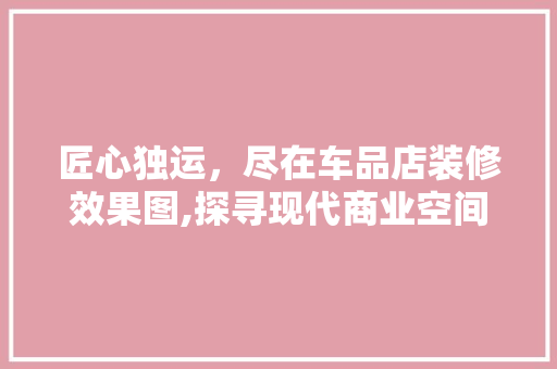 匠心独运，尽在车品店装修效果图,探寻现代商业空间设计之美