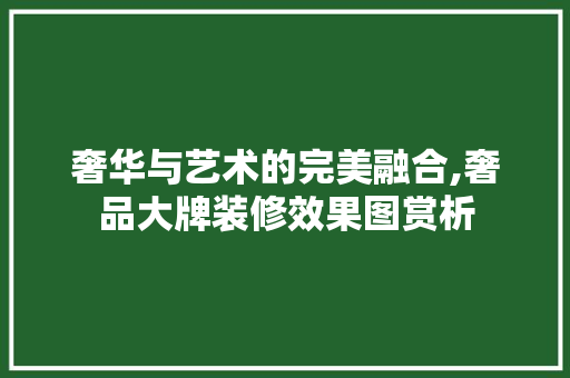 奢华与艺术的完美融合,奢品大牌装修效果图赏析