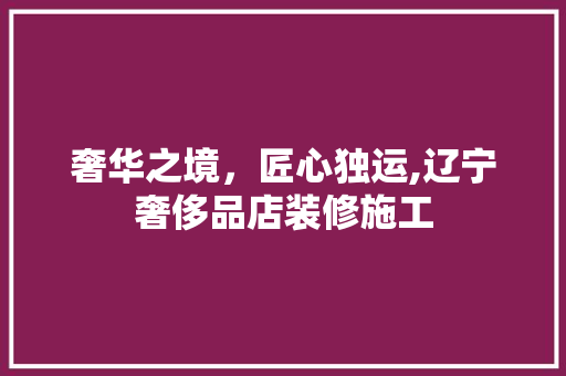 奢华之境，匠心独运,辽宁奢侈品店装修施工