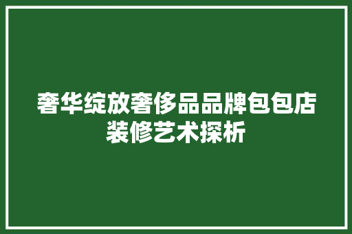 奢华绽放奢侈品品牌包包店装修艺术探析
