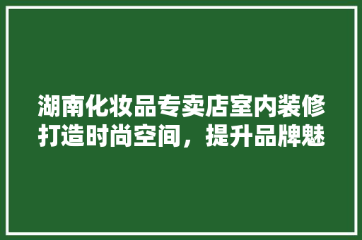 湖南化妆品专卖店室内装修打造时尚空间，提升品牌魅力
