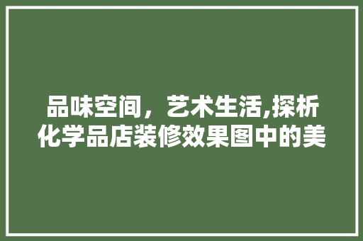 品味空间，艺术生活,探析化学品店装修效果图中的美学与适用