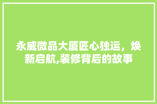 永威微品大厦匠心独运，焕新启航,装修背后的故事