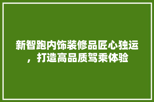 新智跑内饰装修品匠心独运，打造高品质驾乘体验