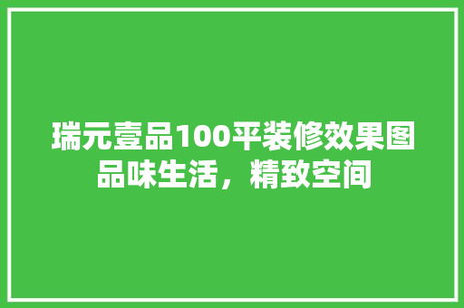 瑞元壹品100平装修效果图品味生活，精致空间