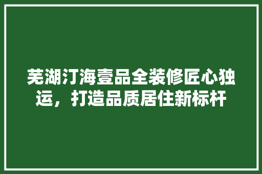芜湖汀海壹品全装修匠心独运，打造品质居住新标杆