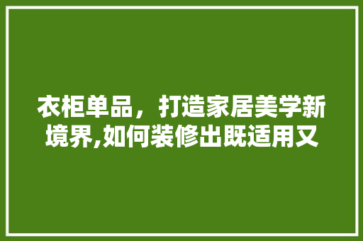 衣柜单品，打造家居美学新境界,如何装修出既适用又美观的衣柜空间