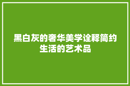 黑白灰的奢华美学诠释简约生活的艺术品
