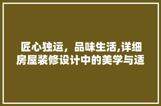 匠心独运，品味生活,详细房屋装修设计中的美学与适用并重之路