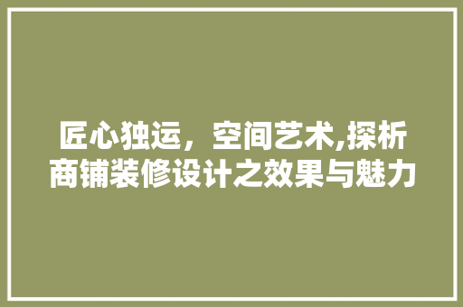 匠心独运，空间艺术,探析商铺装修设计之效果与魅力  第1张