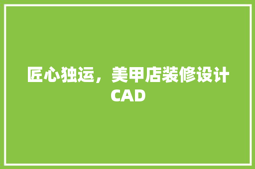 匠心独运，美甲店装修设计CAD