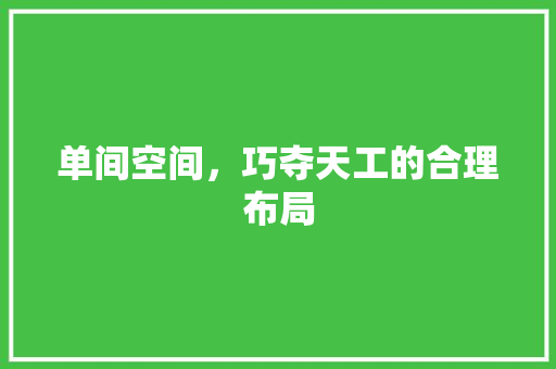 单间空间，巧夺天工的合理布局