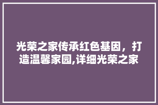 光荣之家传承红色基因，打造温馨家园,详细光荣之家装修设计之路