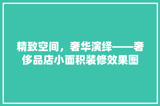 精致空间，奢华演绎——奢侈品店小面积装修效果图