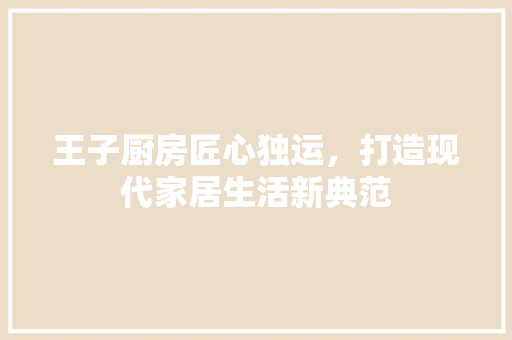王子厨房匠心独运，打造现代家居生活新典范