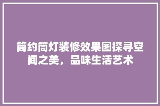 简约筒灯装修效果图探寻空间之美，品味生活艺术