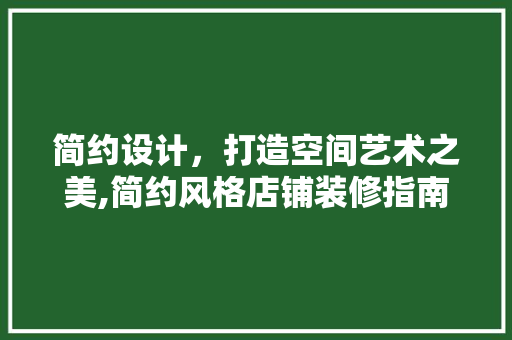 简约设计，打造空间艺术之美,简约风格店铺装修指南