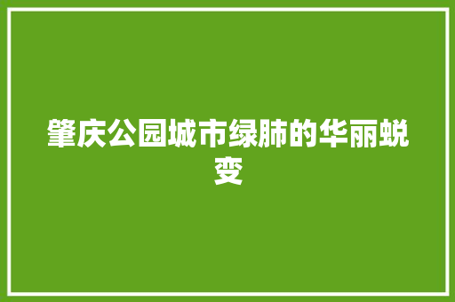 肇庆公园城市绿肺的华丽蜕变