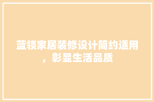 蓝领家居装修设计简约适用，彰显生活品质