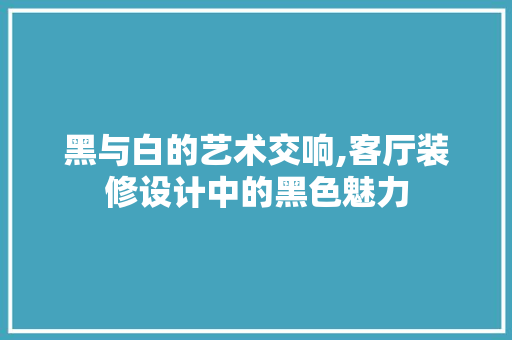 黑与白的艺术交响,客厅装修设计中的黑色魅力
