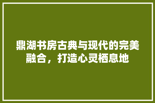 鼎湖书房古典与现代的完美融合，打造心灵栖息地  第1张