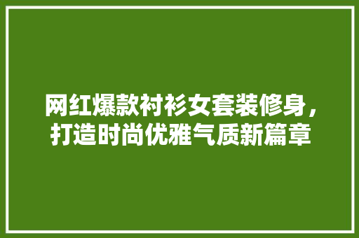 网红爆款衬衫女套装修身，打造时尚优雅气质新篇章