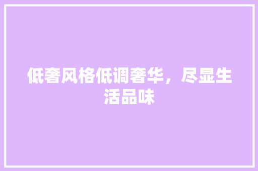 低奢风格低调奢华，尽显生活品味