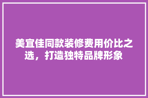 美宜佳同款装修费用价比之选，打造独特品牌形象