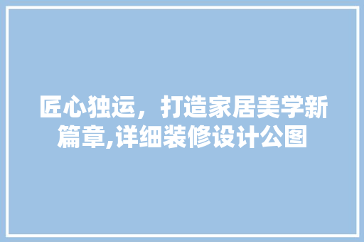 匠心独运，打造家居美学新篇章,详细装修设计公图