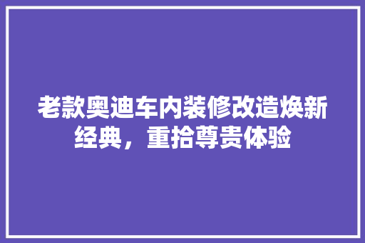 老款奥迪车内装修改造焕新经典，重拾尊贵体验