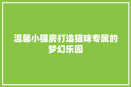 温馨小猫房打造猫咪专属的梦幻乐园