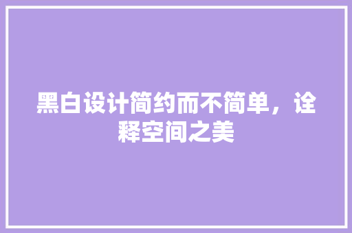 黑白设计简约而不简单，诠释空间之美  第1张