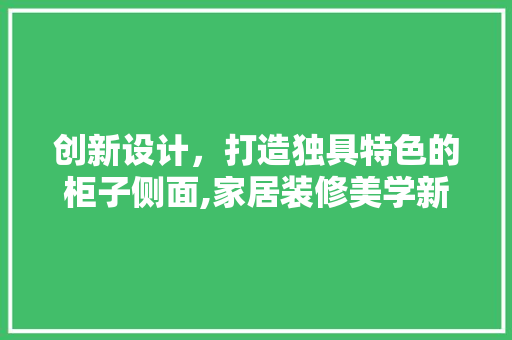 创新设计，打造独具特色的柜子侧面,家居装修美学新篇章