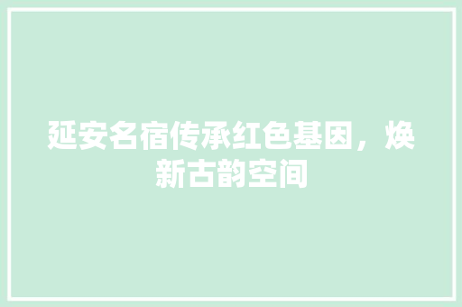 延安名宿传承红色基因，焕新古韵空间
