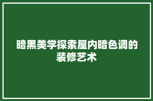 暗黑美学探索屋内暗色调的装修艺术