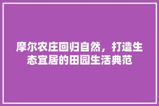 摩尔农庄回归自然，打造生态宜居的田园生活典范
