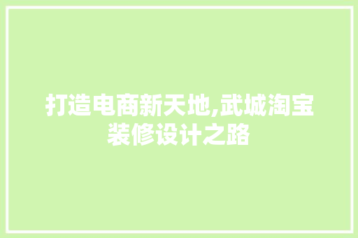 打造电商新天地,武城淘宝装修设计之路