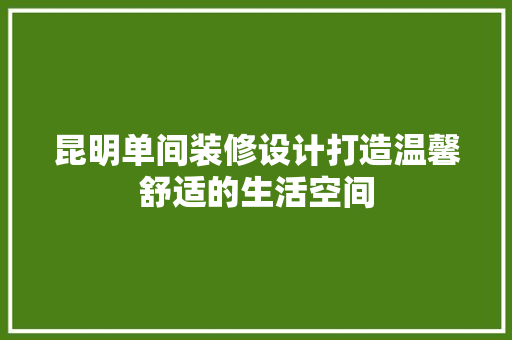 昆明单间装修设计打造温馨舒适的生活空间
