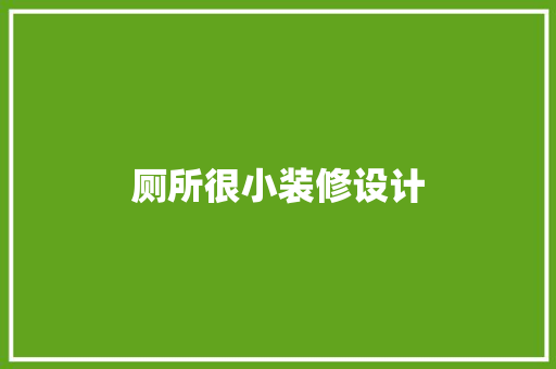 厕所很小装修设计