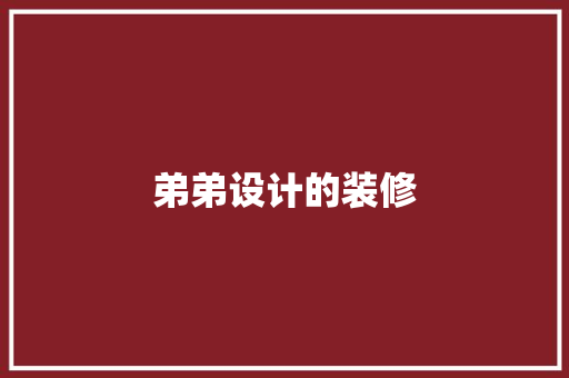 弟弟设计的装修