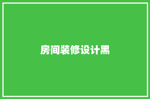 房间装修设计黑