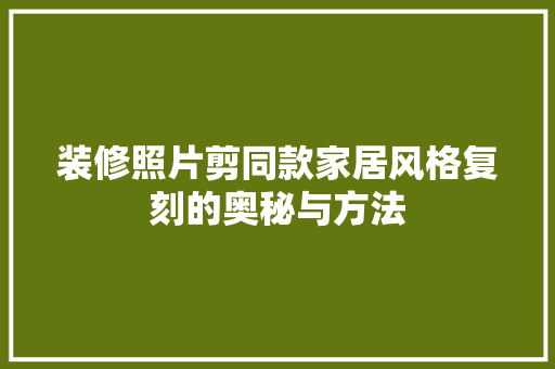 装修照片剪同款家居风格复刻的奥秘与方法