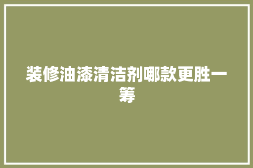 装修油漆清洁剂哪款更胜一筹