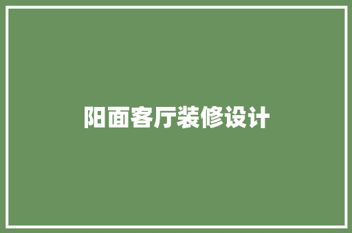 阳面客厅装修设计