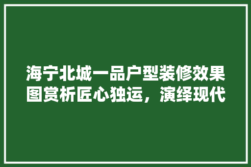 海宁北城一品户型装修效果图赏析匠心独运，演绎现代家居美学